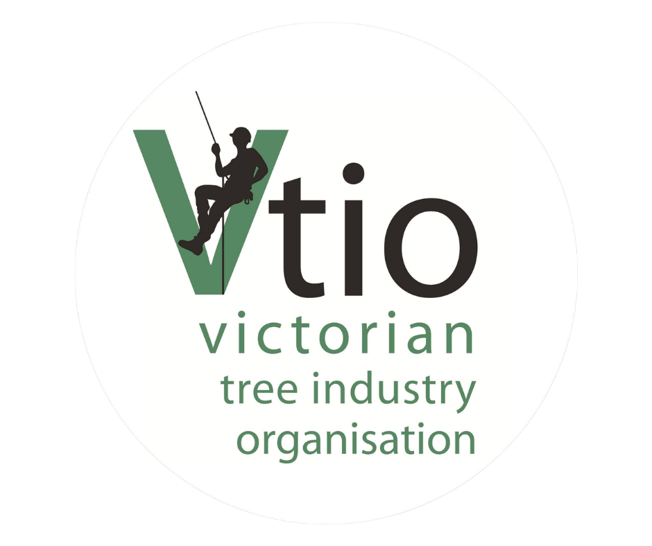 VTIO logo