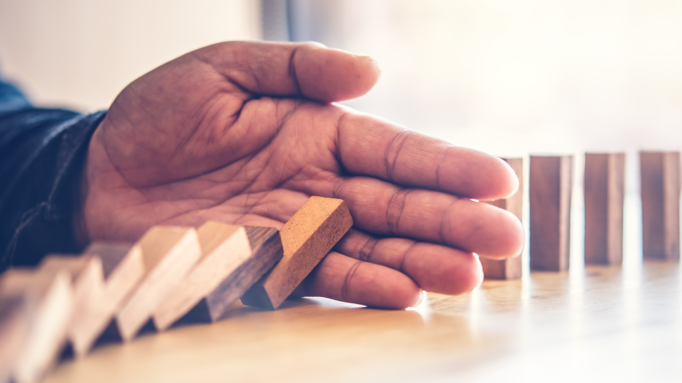 Understanding the Cycle of Business: Moving from Survival to Stability